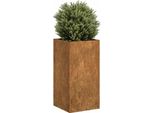 Bei Cloris Fioriera Arrugginita 40X40X80 Cm Acciaio Resistente Alle Intemperie - Aiuole Nuovo6261444 1Pacco