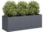 Fioriera Elegante Antracite 120 X 40 X 40 Cm Acciaio Laminato A Freddo - Letti Hommie9979144 1Pacco