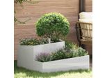 Maison Exclusive - Vaso Da Giardino Argento 80 X 80 X 50 Cm Acciaio Inossidabile