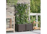 2025 Fioriera Da Giardino Moderna Marrone 80 X 40 X 142 Cm Acciaio - Letti,Design 4771771 1Pacco
