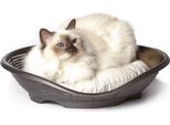 Bama Pet Pasha Mand 48X46X11 Cm Antraciet
