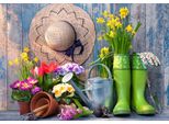 Bluebird Puzzle Gartenpuzzle Pronto Per Il Giardino - 1000 Teile Blumen