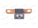 Fusibile Dresselhaus Pal 80A Bent C M. Morsetto A Vite/Nero