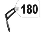 Supporto Per La Schiena Trivio Argento Argento Taglia Unica
