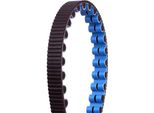Cinghia Gates Cdx 118 Denti, 1298 Mm, Nera