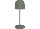 Eglo Led Mannera-S Lampada Da Tavolo, Touch, Verde, Per Interni Ed Esterni, 901939