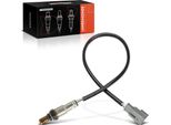 Frankberg 1X Sonda Lambda Sensore Di Controllo Prima Del Catalizzatore Per Fiat 500 Panda 312 Punto Ford Ka Lancia 1.2L