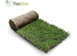 Prato Pronto A Rotoli In Erba Naturale By Pratoerboso - 1,5 Mq (3 Rotoli)