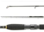 Daiwa Legalis Spin 3.00M 30-60G 2 Pezzi Canna Da Spinning
