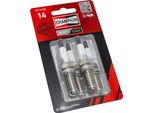 Candele Champion Compatibili Con Champion CET14PSB
