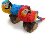 Onwomania Figurina In Poliresina Pappagallo Doppio Uccello Aves Macaw Animale Decorativo Figurina In Poliresina Rosso 12 Cm
