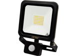 30W Led Photon IP65 Proiettore Proiettore Proiettore 6000K Bianco Freddo 2400Lm IP65 Impermeabile Illuminazione Esterna Proiettore Con Rilevatore Di Movimento