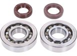 Set Cuscinetti Albero Motore Naraku Skf, Fkm Premium C4 Poliammide Per Piaggio
