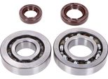 Kit Cuscinetti Hd E Paraoli Fkm Albero Motore Naraku Naraku Per Kymco/Sym Orizzontale
