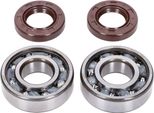 Set Cuscinetti Albero Motore Naraku Skf, Fkm Premium C4 Poliammide Per Derbi Ebe, Ebs, D50B