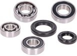 Set Di Cuscinetti Cambio Incl. Guarnizioni Albero Per Peugeot Verticale Euro1/2