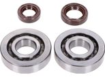 Set Di Cuscinetti Dell'albero Motore Naraku Skf, Fkm Premium C3 Per Peugeot Verticale Euro1