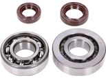 Set Di Cuscinetti Dell'albero Motore Naraku Skf, Fkm Premium C3, C4 A Gabbia Metallica Per Peugeot Verticale Euro2