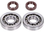 Set Di Cuscinetti Dell'albero Motore Naraku Skf, Fkm Premium C4 Poliammide Per Peugeot Orizzontale
