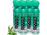 Boost Oxygen Ossigeno Puro In Bombola - 20 Litri Di Mentolo Ed Eucalipto, Ossigeno Puro Al 95% In Quattro Bombole Trasportabili Da 5 Litri
