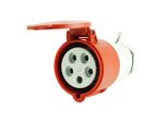Presa Di Corrente Cee 5P 16A IP44 400V 7713