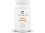 Vitaworld Colina 600 Mg | 60 Capsule | Colina Bitartrato | Vegano