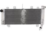 Radiatore Acqua Jmp TRS-R-618 Per Kawasaki Z 650 Abs