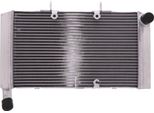 Radiatore Acqua Jmp 2019040109 Per Honda Cbr 600