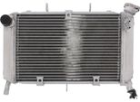 Radiatore Acqua Jmp TRS-R-560 Per Yamaha FZ6