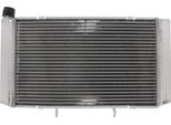 Radiatore Acqua Jmp TRS-R-517 Per Honda