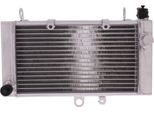 Radiatore Acqua Jmp 2019040113 Per Honda Cbf