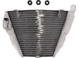 Radiatore Acqua Jmp TRS-R-609 Inferiore Per Ducati Streetfighter