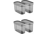 Hermia Concept, BNMSRGAR04-12, Scatole Portaoggetti, Set Di Scatole Portaoggetti (4 Pezzi), Antracite, Plastica, 9,5 X 19,5 X 13 Cm