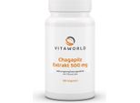 Estratto Di Fungo Chaga 500 Mg Capsule 100 Capsule