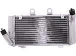 Radiatore Acqua Jmp 2019040105 Sinistro Per Honda Xl 1000