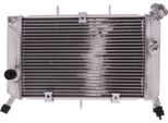 Radiatore Acqua Jmp 2019040101 Per Yamaha XJ6 600