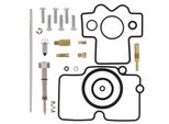 Kit Di Riparazione Carburatore All Balls Per Kawasaki Kx F 450 Ccm Anno 2006 - 2008