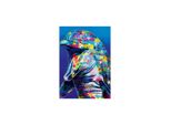 Bluebird Puzzle Delfino 1000 Pezzi