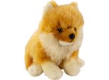 Carl Dick Spitz Nano, Cane Di Pomerania Seduto, Cane, Circa 25 Cm 3557 Peluche, Peluche, Peluche