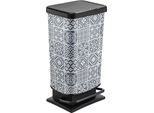 Rotho Paso Cestino Per Rifiuti 40 L, Ornamento Rotho 1754111015