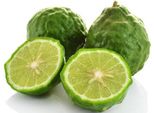 Kaffir Lime Citrus Hystrix 130-180 Cm , Kaffir Lime, Combava, Papeda, Pianta Di Agrumi Esotici, Tiglio Per Giardino E Piante Da Giardino