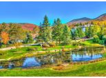 Puzzle Bluebird Stowe, Vermont, Usa 1000 Pezzi