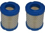 2X Filtro Aria Per Motore Briggs & Stratton / B&S 796032 591583 210000Er 10-14PS