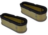 2X Filtro Aria Per Motore Briggs & Stratton / B&S 493910 691667 10 - 15 Cv