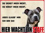 Vianmo Insegna In Legno 30X40 Cm Hund Hier Wacht Ein Staff