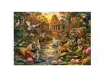 Castorland Puzzle Tiger Paradise 1000 Pezzi