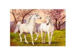 Castorland Puzzle Unicorno Amore 1000 Pezzi