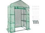 Vevor Serra A Film 141X74,5X205Cm Serra Per Pomodori Capacità Di Carico 15Kg Serra Da Giardino Struttura Fredda Pe Materiale Tubo D'acciaio Casa Per Pomodori Serra Per Ortaggi Con 4 Ripiani Casa Per Piante