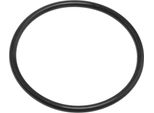 Thomas 109166 Guarnizione Per Cassette Aquafilter Serbatoio Acqua Aspirapolvere A Secco/Umido