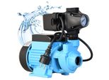 Pompa Dell'acqua Qb 60 Con Moderno Pressostato Al Serbatoio - Pompa Da Giardino (370 W, 2100 L/H, Prevalenza 39 M) - Pressostato Di Controllo Della Pompa - Acquedotto Domestico